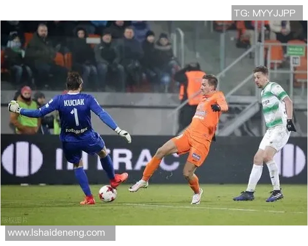 2019年福冈黄蜂与大宫松鼠精彩对决回顾与赛季分析