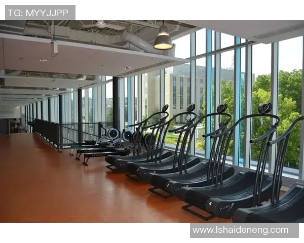 健身器材上市公司发展趋势分析与市场前景展望探讨